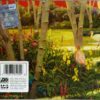 FERAL ROOTS - immagine 2