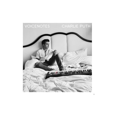 VOICENOTES