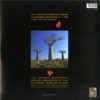 DELICATE SOUND OF THUNDER - immagine 2