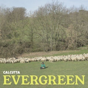 EVERGREEN