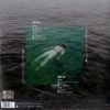 ATLATICO - immagine 2