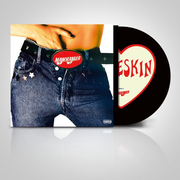 MAMMAMIA LP 33 PICTURE DISC