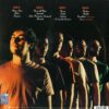 FUORI DALL'HYPE RINGO STARR (VINYL ORANGE) - immagine 2