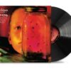 JAR OF FLIES - immagine 2