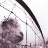 VS. 30TH ANNIVERSARY CLEAR COLOURED VINYL - immagine 2