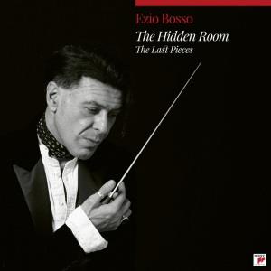 THE HIDDEN ROOM - THE LAST PIECES