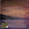 THE COLLECTION AND HIS ORCHESTRA - immagine 2