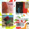 3 ESSENTIAL ALBUMS - immagine 2