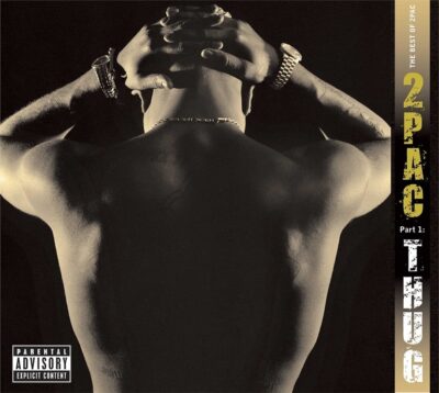 THE BEST OF PT.1: THUG (180 GR.)