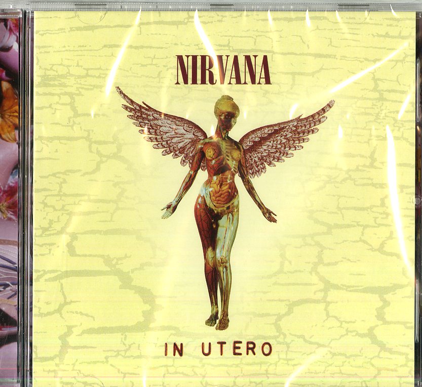 IN UTERO