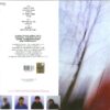 SEVENTEEN SECONDS - immagine 2