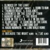 BRUCE SPRINGSTEEN & THE E STREET BAND GREATEST HITS - immagine 2