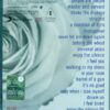 THE BEST OF DEPECHE MODE VOL 1 - immagine 2