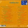 BUDDHA BAR XXII - immagine 2