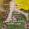 UNICA (DELUXE VERSION) - immagine 2