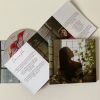 PETALI - immagine 2