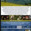 HEIDI (2015) - immagine 2