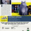 PETS 1 - immagine 2