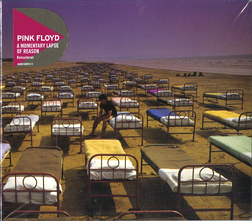 A MOMENTARY LAPSE OF REASON