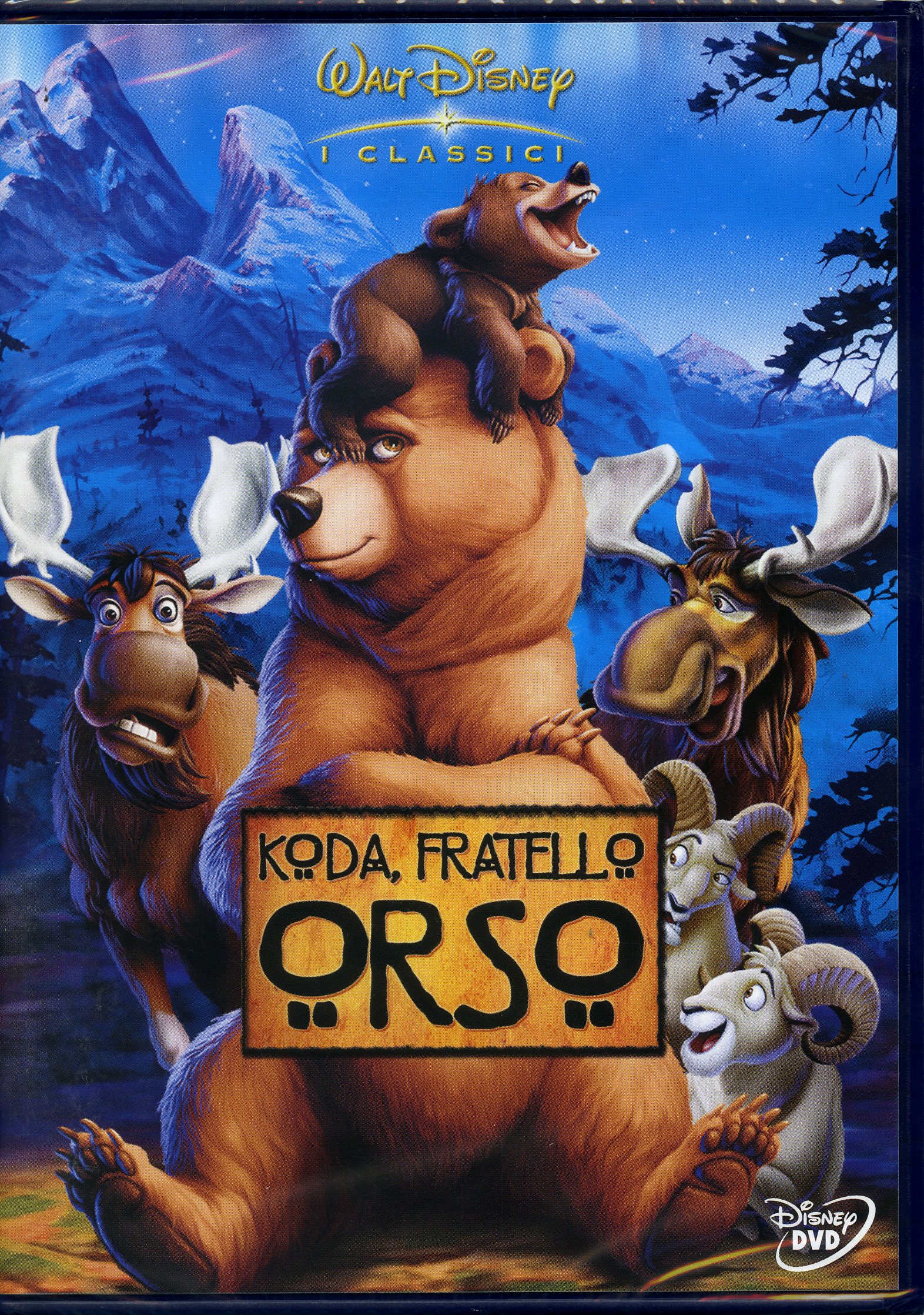 KODA FRATELLO ORSO