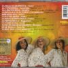 LA LAVANDERINA - immagine 2