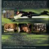 ROBIN HOOD - UN UOMO IN CALZAMAGLIA - immagine 2