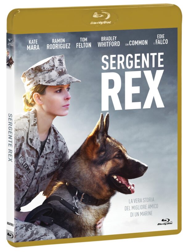 SERGENTE REX