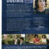 GIORNI D'ESTATE - immagine 2
