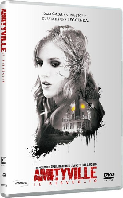 AMITYVILLE IL RISVEGLIO