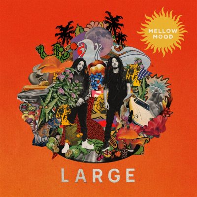 LARGE