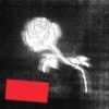 LIBERATO - immagine 2