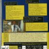ALBERTO SORDI - IL GRANDE CINEMA (3 DVD) - immagine 2