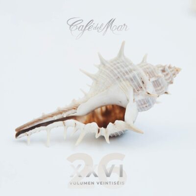 CAFE' DEL MAR 26