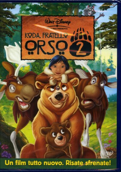 KODA FRATELLO ORSO 2