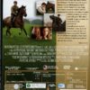 WAR HORSE - immagine 2