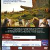 IL RE LEONE (LIVE ACTION) - immagine 2