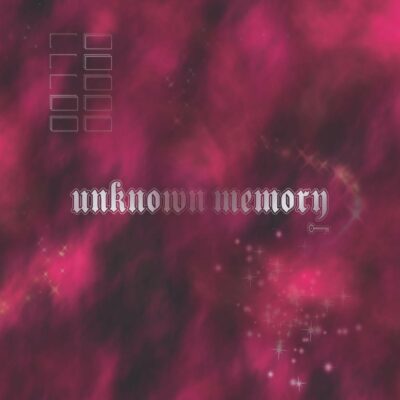 UNKNOWN MEMORY