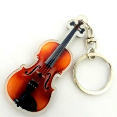VIOLINO IN ACRILICO